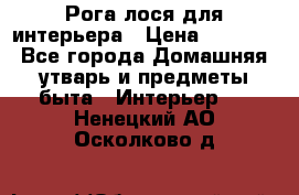 Рога лося для интерьера › Цена ­ 3 300 - Все города Домашняя утварь и предметы быта » Интерьер   . Ненецкий АО,Осколково д.